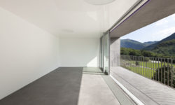 Etiam commodo convallis