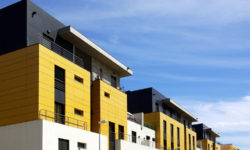 Etiam dictum egestas